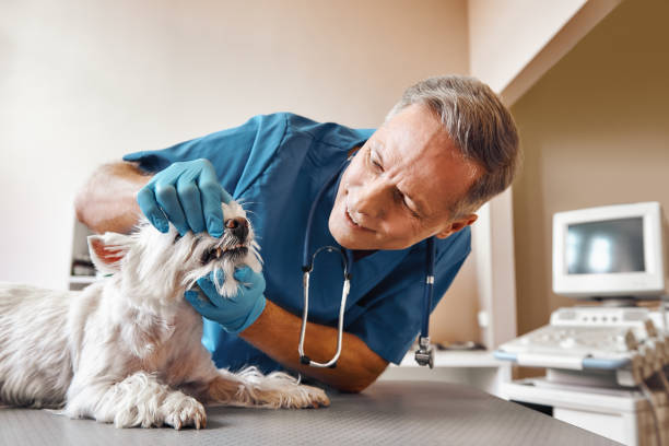 Best Cracked Tooth Emergency Dentist  in Woodworth, OH