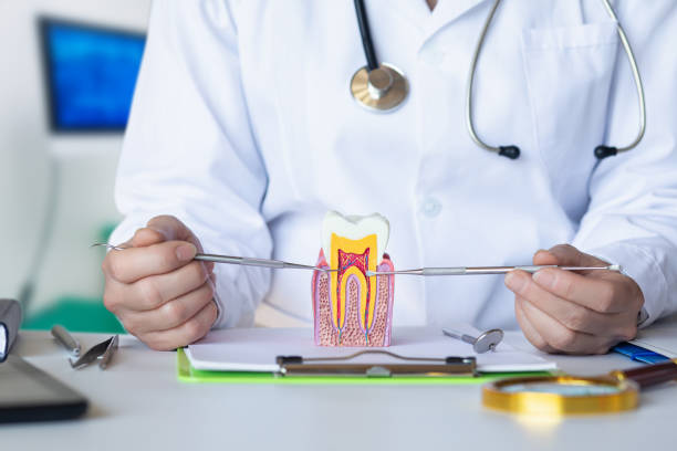 Best Emergency Dental Filling Replacement  in Woodworth, OH